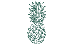 pineapplev