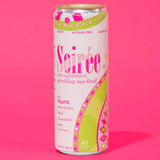 Teajito - 4 pack